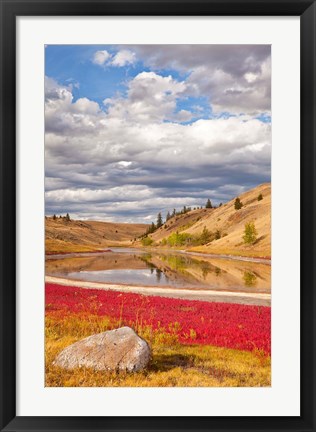 Framed Grassland landscape, Lac Du Bois Grasslands Park, Kamloops, BC, Canada Print