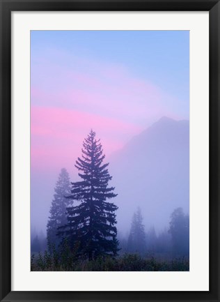 Framed Canada, British Columbia, Mount Robson Park Foggy sunrise Print