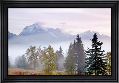 Framed Canada, British Columbia, Mount Robson Park Sunrise on mountain Print