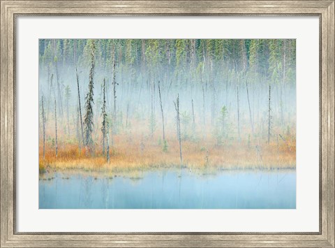 Framed Foggy pond and forest, Mount Robson PP, British Columbia, Canada Print