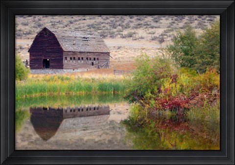 Framed Haynes Ranch Buildings Preservation Project, Osoyoos, BC, Canada Print