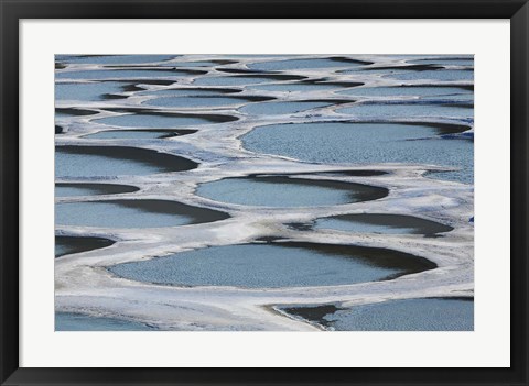 Framed Spotted Lake, Osoyoos, British Columbia, Canada Print