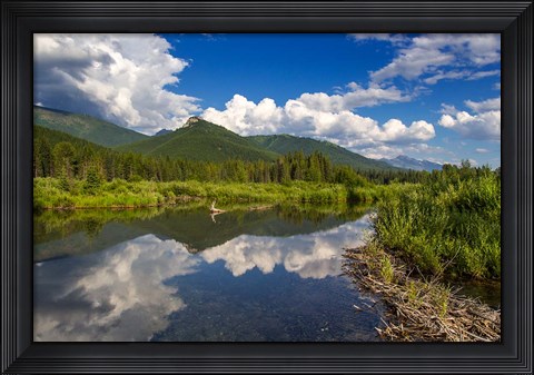 Framed Beaver pond along the Flathead River near Fernie, British Columbia, Canada Print