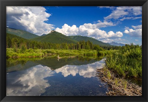 Framed Beaver pond along the Flathead River near Fernie, British Columbia, Canada Print