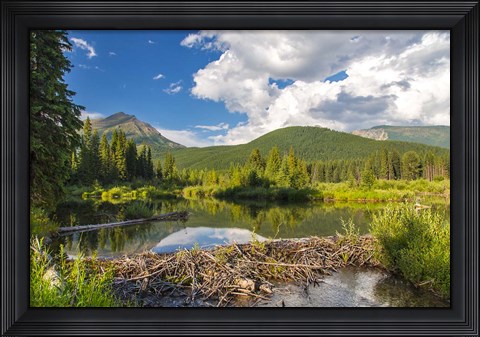 Framed Flathead River, British Columbia, Canada Print