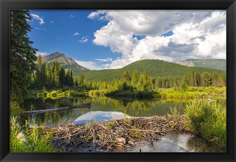 Framed Flathead River, British Columbia, Canada Print