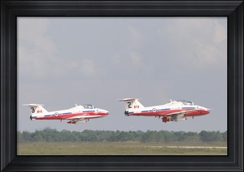 Framed Snowbirds 431 Print