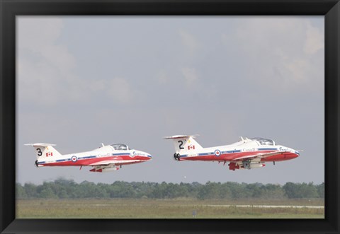 Framed Snowbirds 431 Print