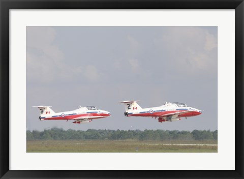 Framed Snowbirds 431 Print