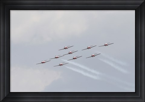 Framed Snowbirds 431 Royal Canadian Air Force Print