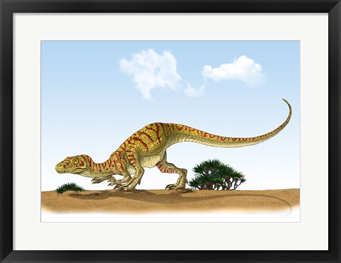 Framed Eoraptor, an early Dinosaur that Lived During the Late Triassic Period Print