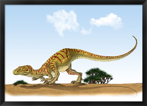 Framed Eoraptor, an early Dinosaur that Lived During the Late Triassic Period Print