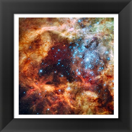 Framed Hubble Space Telescope image of the R136 Super Star Cluster Print