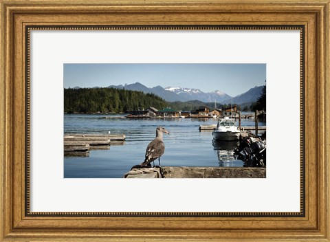 Framed British Columbia, Vancouver Island, Strathcona Park, Harbor Print