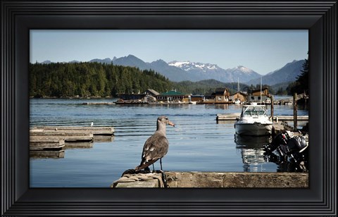 Framed British Columbia, Vancouver Island, Strathcona Park, Harbor Print
