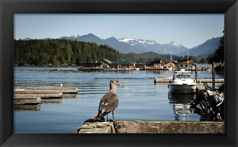 Framed British Columbia, Vancouver Island, Strathcona Park, Harbor Print