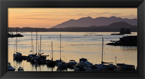 Framed Sunset at Tofino, Harbor, Vancouver Island, British Columbia Print