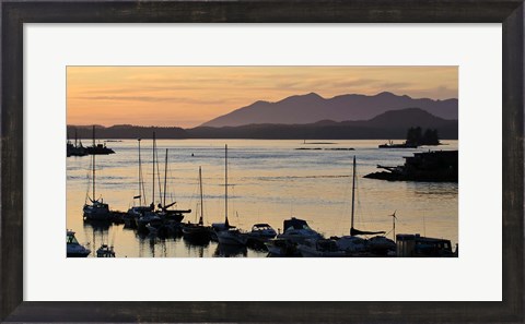Framed Sunset at Tofino, Harbor, Vancouver Island, British Columbia Print