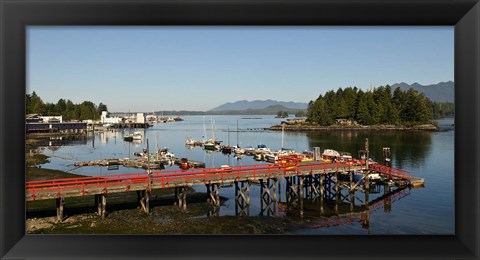 Framed Dock and harbor, Tofino, Vancouver Island, British Columbia Print