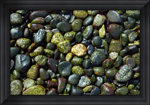 Framed Patterns, Rebecca Spit, Quadra Isl, British Columbia Print