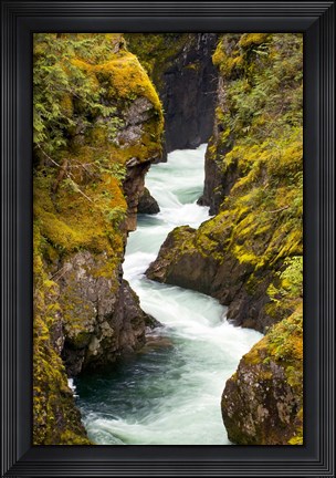 Framed River, Vancouver Island, British Columbia Print