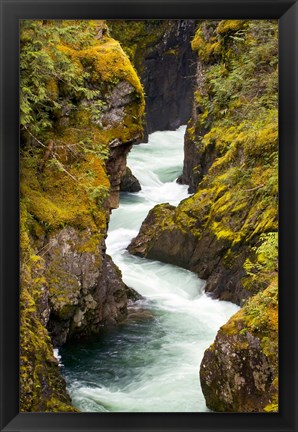 Framed River, Vancouver Island, British Columbia Print