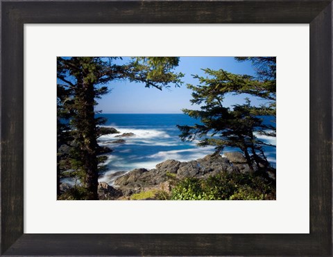 Framed Wild Pacific Trail, Vancouver Island British Columbia Print