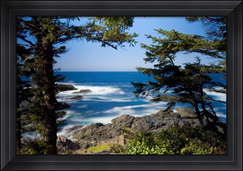 Framed Wild Pacific Trail, Vancouver Island British Columbia Print