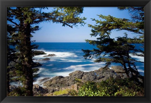 Framed Wild Pacific Trail, Vancouver Island British Columbia Print