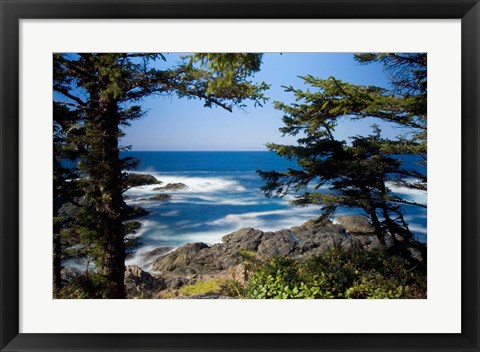 Framed Wild Pacific Trail, Vancouver Island British Columbia Print