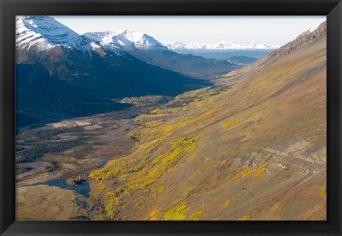 Framed Todagin South Slope Provincial Park, British Columbia Print