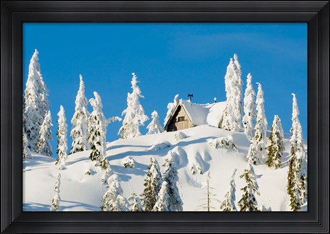 Framed Mountain cabin, Seymour Mountain, British Columbia Print