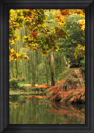 Framed Colorful Fall Leaves at Butchart Gardens, Victoria, British Columbia, Canada Print