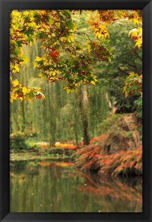 Framed Colorful Fall Leaves at Butchart Gardens, Victoria, British Columbia, Canada Print