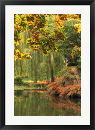 Framed Colorful Fall Leaves at Butchart Gardens, Victoria, British Columbia, Canada Print