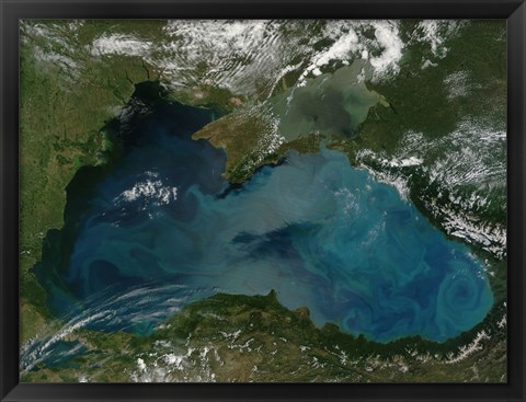 Framed Phytoplankton Bloom in the Black Sea Print