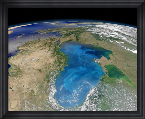 Framed Satellite view of Swirling Blue Phytoplankton Bloom in the Black Sea Print
