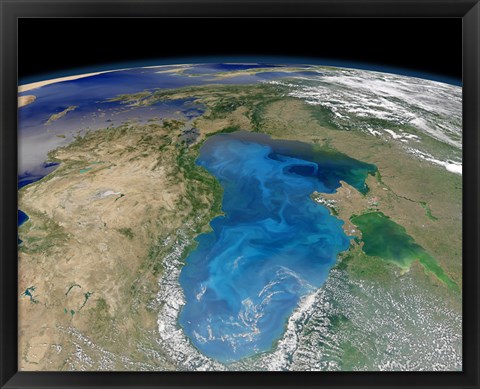 Framed Satellite view of Swirling Blue Phytoplankton Bloom in the Black Sea Print