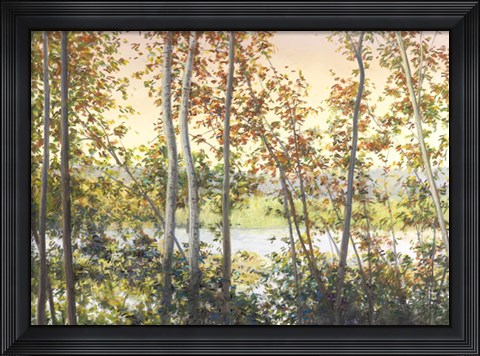 Framed Autumn Shady Print