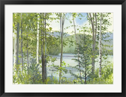 Framed Summer Lake IV Print