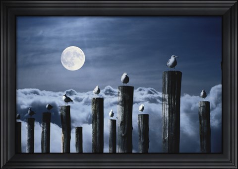 Framed Seagulls Perched on Wooden Posts under a Full Moon Print