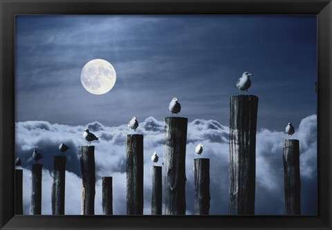 Framed Seagulls Perched on Wooden Posts under a Full Moon Print