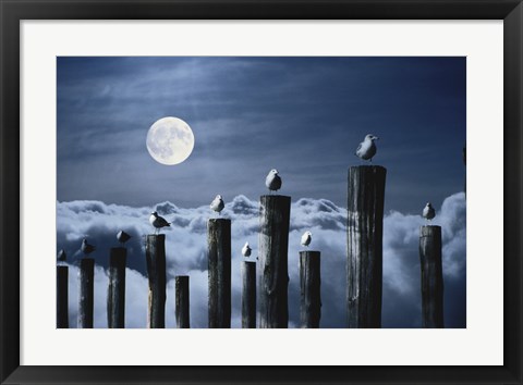 Framed Seagulls Perched on Wooden Posts under a Full Moon Print