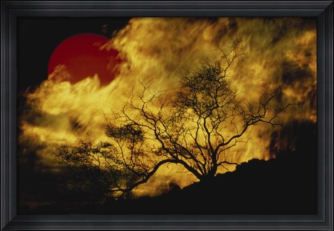 Framed Composite of a Lone tree, Burning Fire, and Red Sun Print