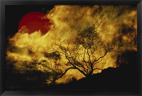 Framed Composite of a Lone tree, Burning Fire, and Red Sun Print