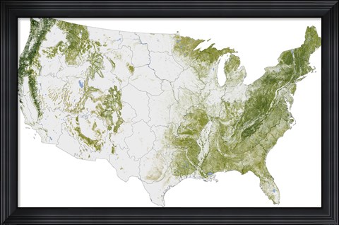 Framed Map of the United States Showing the Concentration of Biomass Print