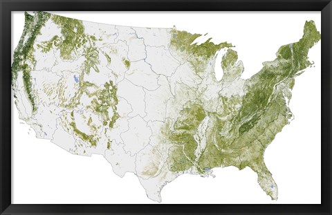 Framed Map of the United States Showing the Concentration of Biomass Print