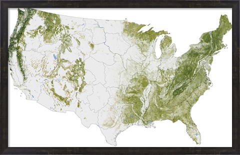 Framed Map of the United States Showing the Concentration of Biomass Print