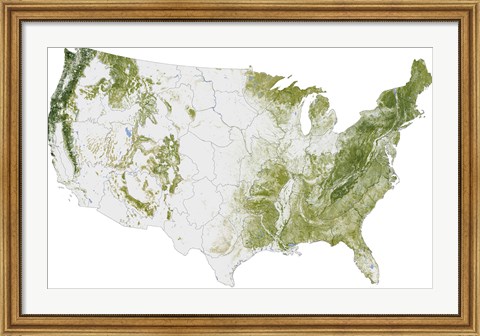 Framed Map of the United States Showing the Concentration of Biomass Print