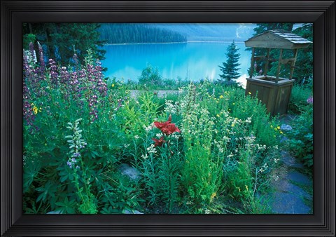 Framed Emerald Lake, Yoho National Park, British Columbia Print